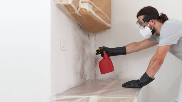 Professional Mold Removal technician working in Wingate, MD